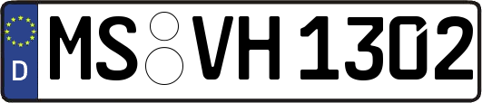 MS-VH1302