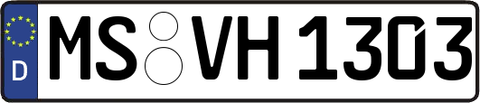 MS-VH1303