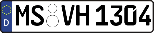 MS-VH1304