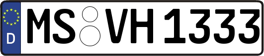 MS-VH1333