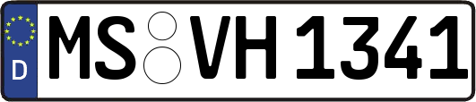 MS-VH1341