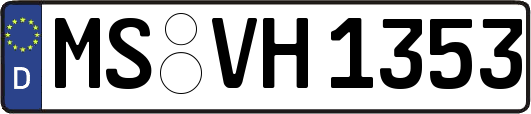 MS-VH1353
