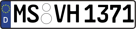 MS-VH1371