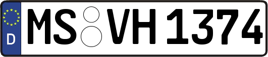 MS-VH1374