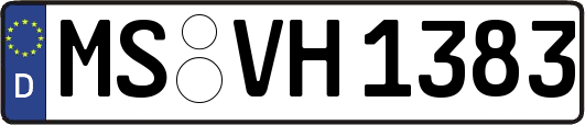 MS-VH1383