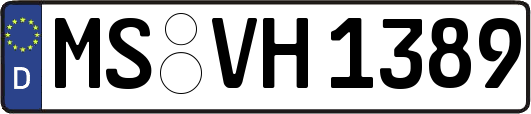 MS-VH1389
