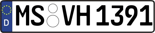 MS-VH1391