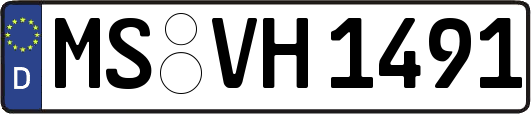 MS-VH1491