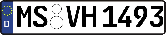 MS-VH1493