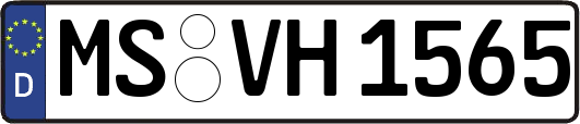 MS-VH1565