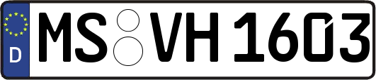MS-VH1603