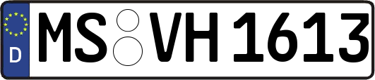 MS-VH1613