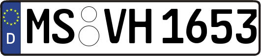 MS-VH1653