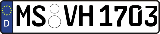 MS-VH1703
