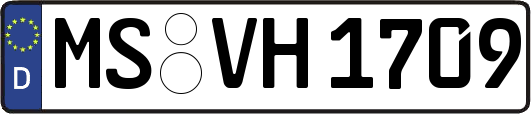 MS-VH1709