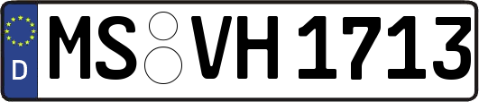 MS-VH1713