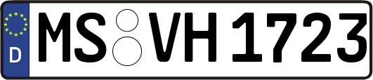 MS-VH1723