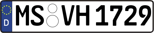MS-VH1729