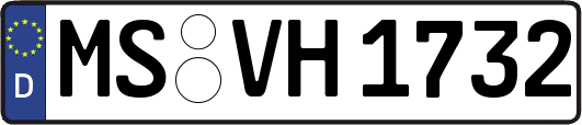MS-VH1732