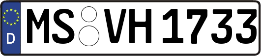 MS-VH1733
