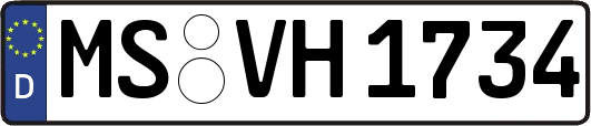 MS-VH1734