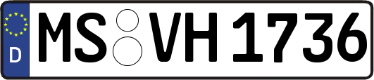 MS-VH1736