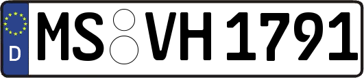 MS-VH1791
