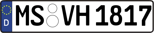 MS-VH1817
