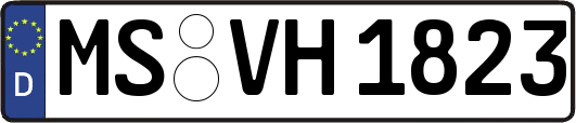 MS-VH1823