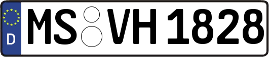MS-VH1828