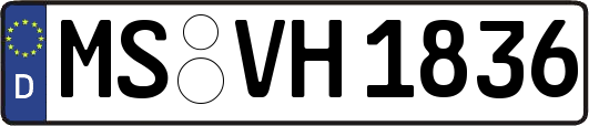 MS-VH1836