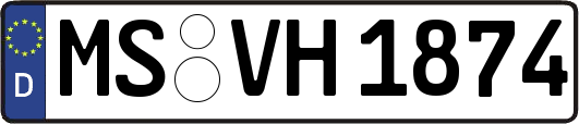 MS-VH1874