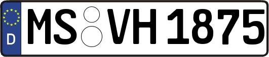 MS-VH1875