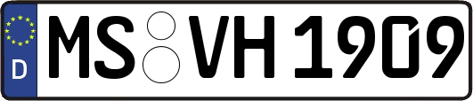 MS-VH1909