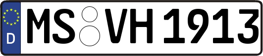 MS-VH1913