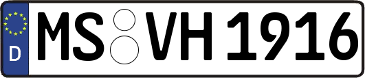 MS-VH1916