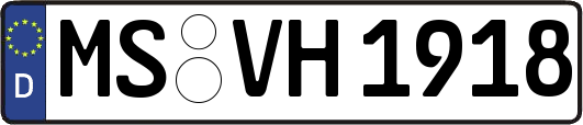 MS-VH1918