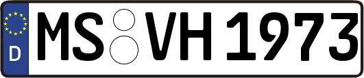 MS-VH1973
