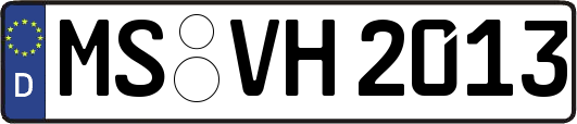 MS-VH2013