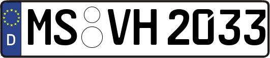 MS-VH2033