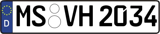 MS-VH2034
