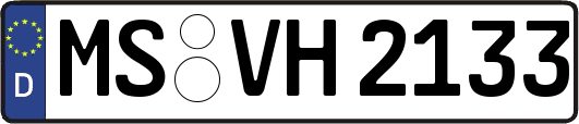 MS-VH2133