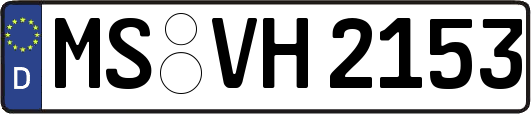 MS-VH2153