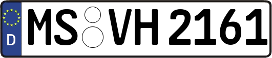 MS-VH2161