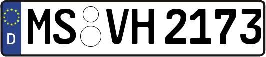 MS-VH2173