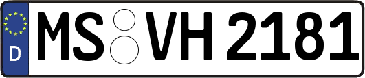 MS-VH2181