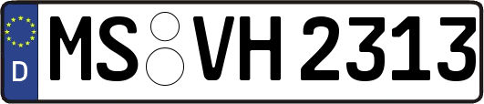 MS-VH2313