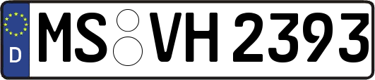 MS-VH2393