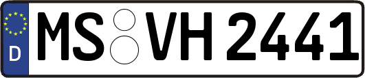 MS-VH2441