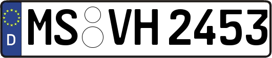 MS-VH2453